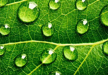 防水企業家必看：大數據時代來臨，防水行業會有哪些改變v